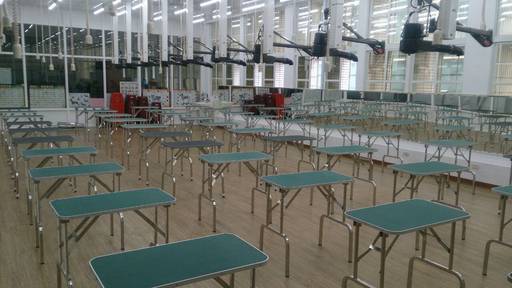 大仁科技大學獲准設立南台灣唯一寵物美容技能丙級檢定術科場地