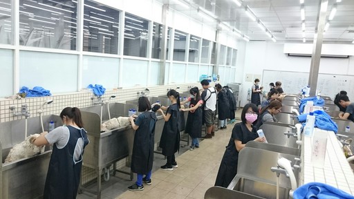 大仁科技大學獲准設立南台灣唯一寵物美容技能丙級檢定術科場地