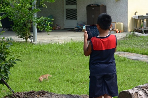 走訪社區攝影，讓孩童更認識在地動植物，記錄下部落元素。孩在延平/提供