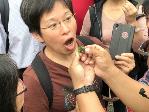 孝親旅遊倡議 以孝為始 以家為本 建構幸福的學習型城市