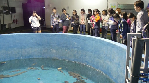 正修科大磨課師學員海生館觀賞海洋生態。