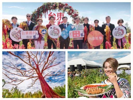 2018台東紅藜季 森林公園春節出遊新選擇