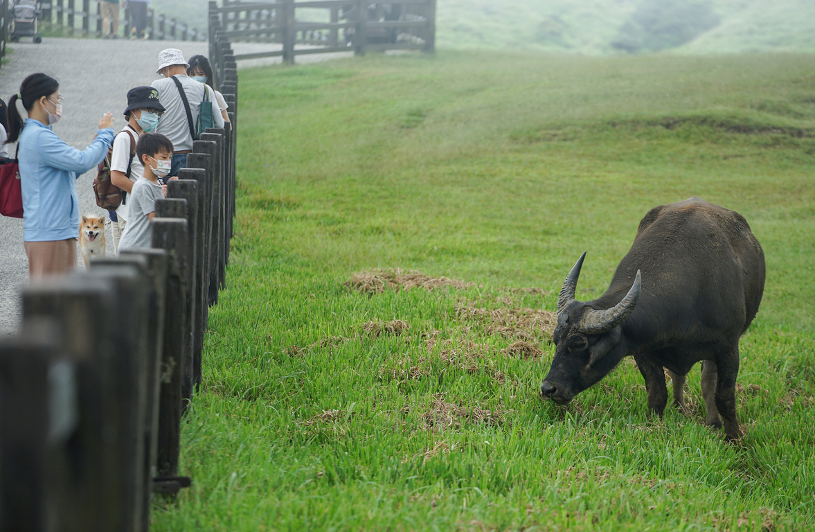 Visiting Yangmingshan