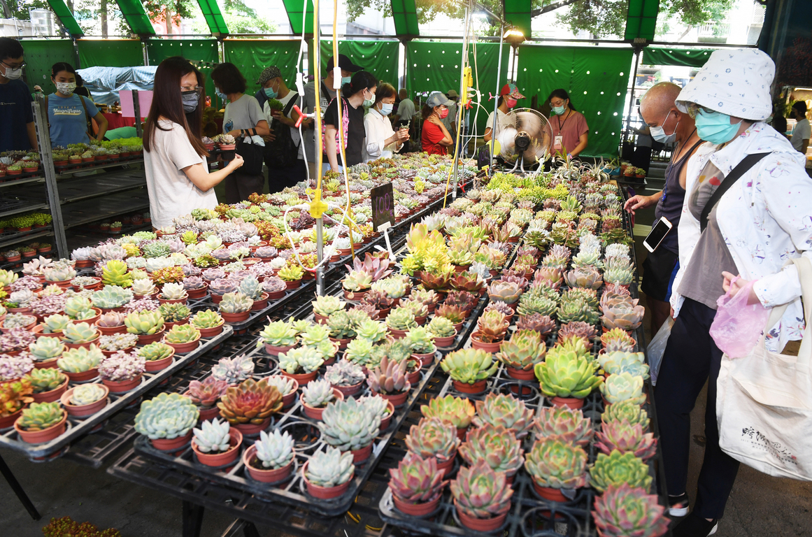 Flower market reopens