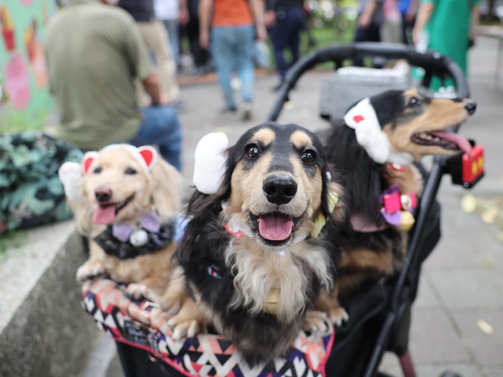 Focus Taiwan CNA English News