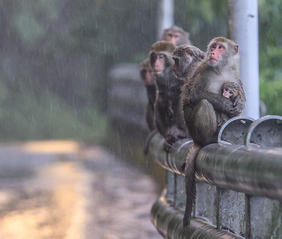 In the rain