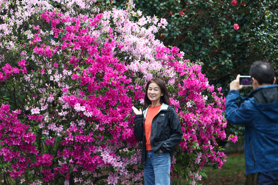 NTU Azalea Festival
