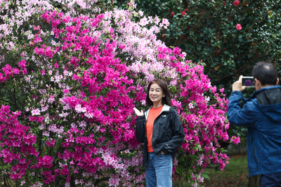 NTU Azalea Festival