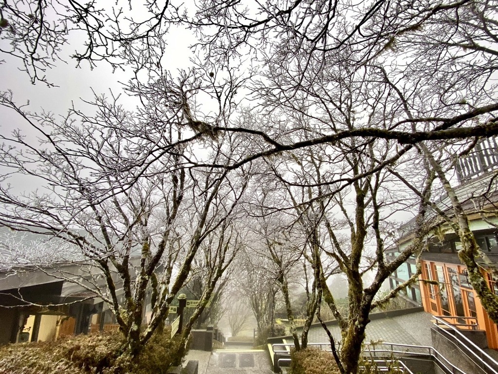 Silvery white scene