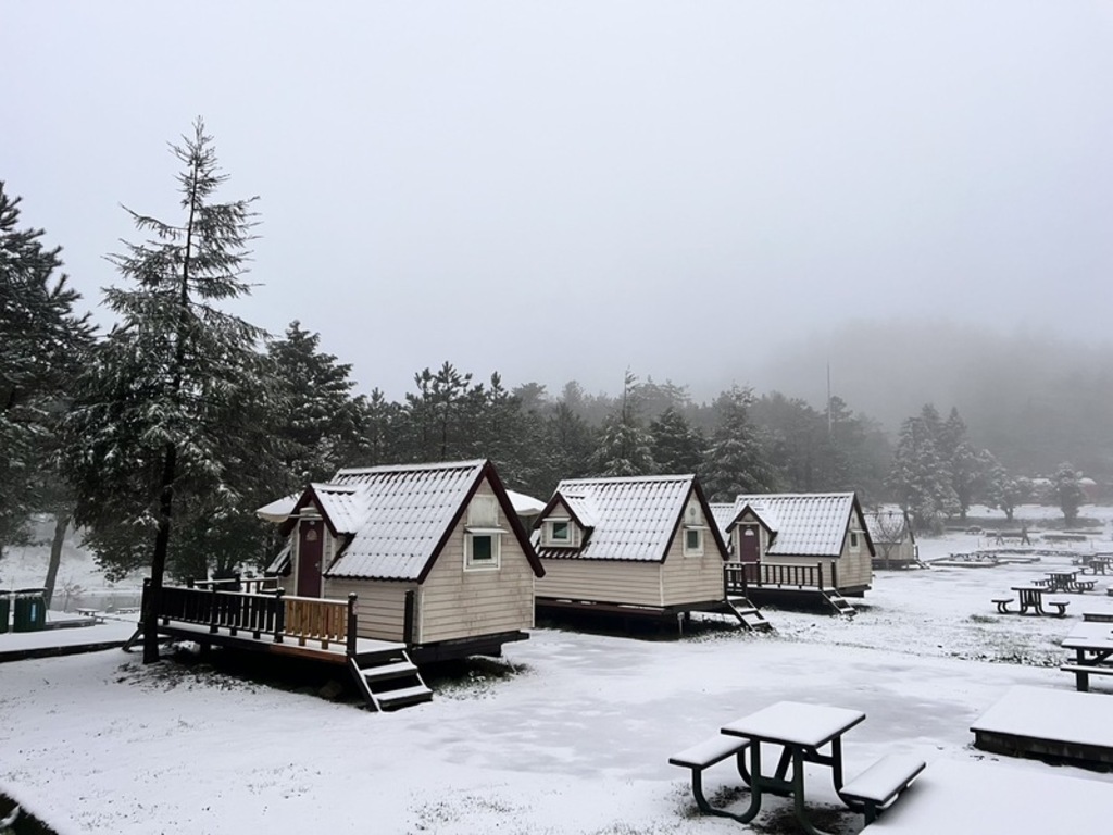 Snowy wonderland