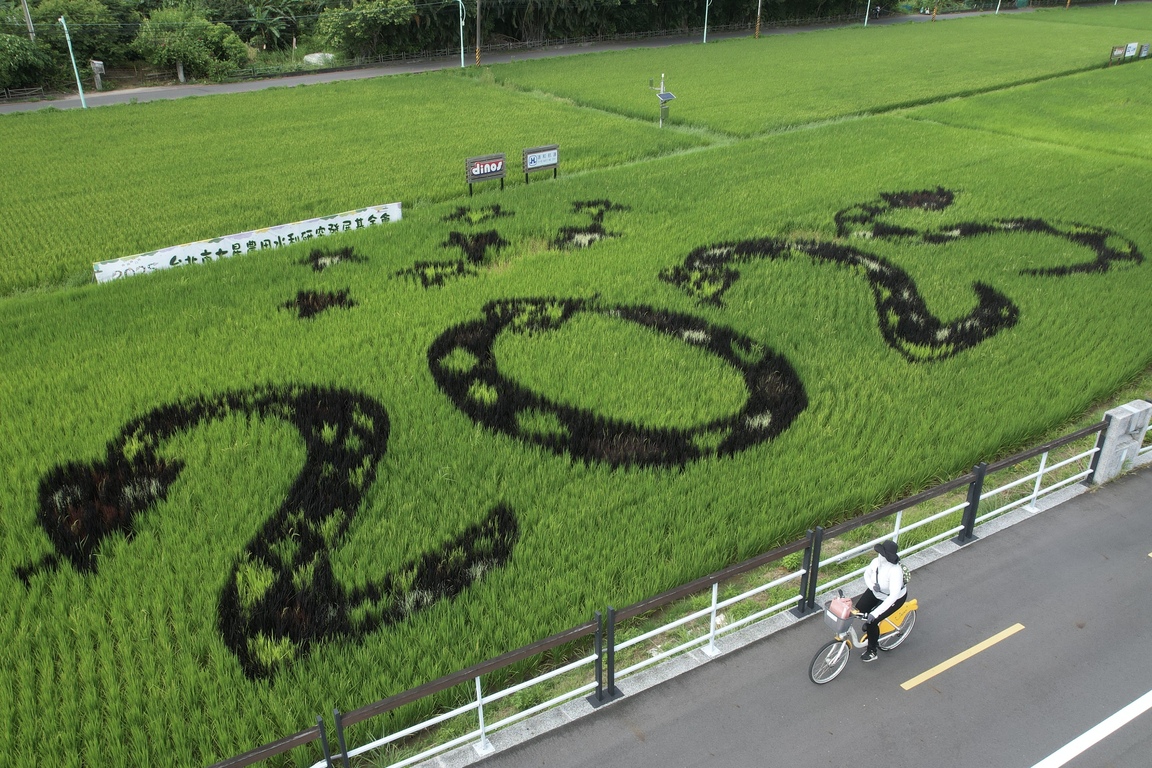 Crop art in Taipei