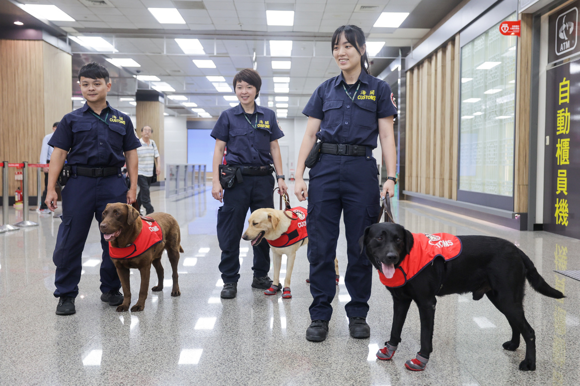 Service dog insurance