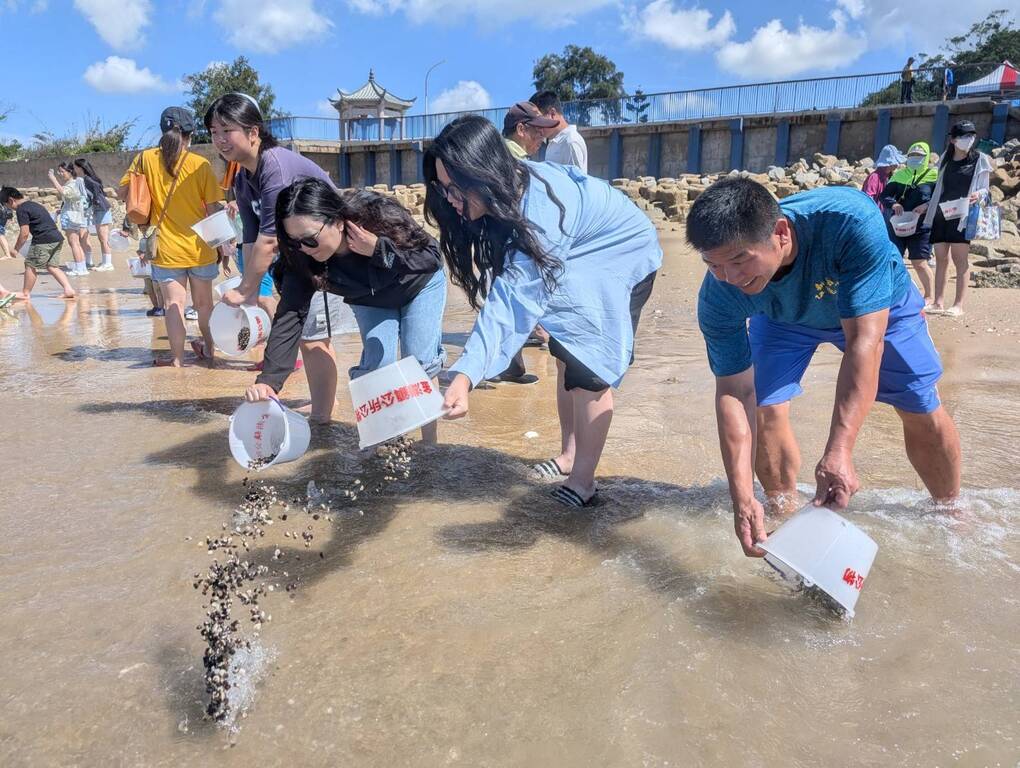 Clam conservation