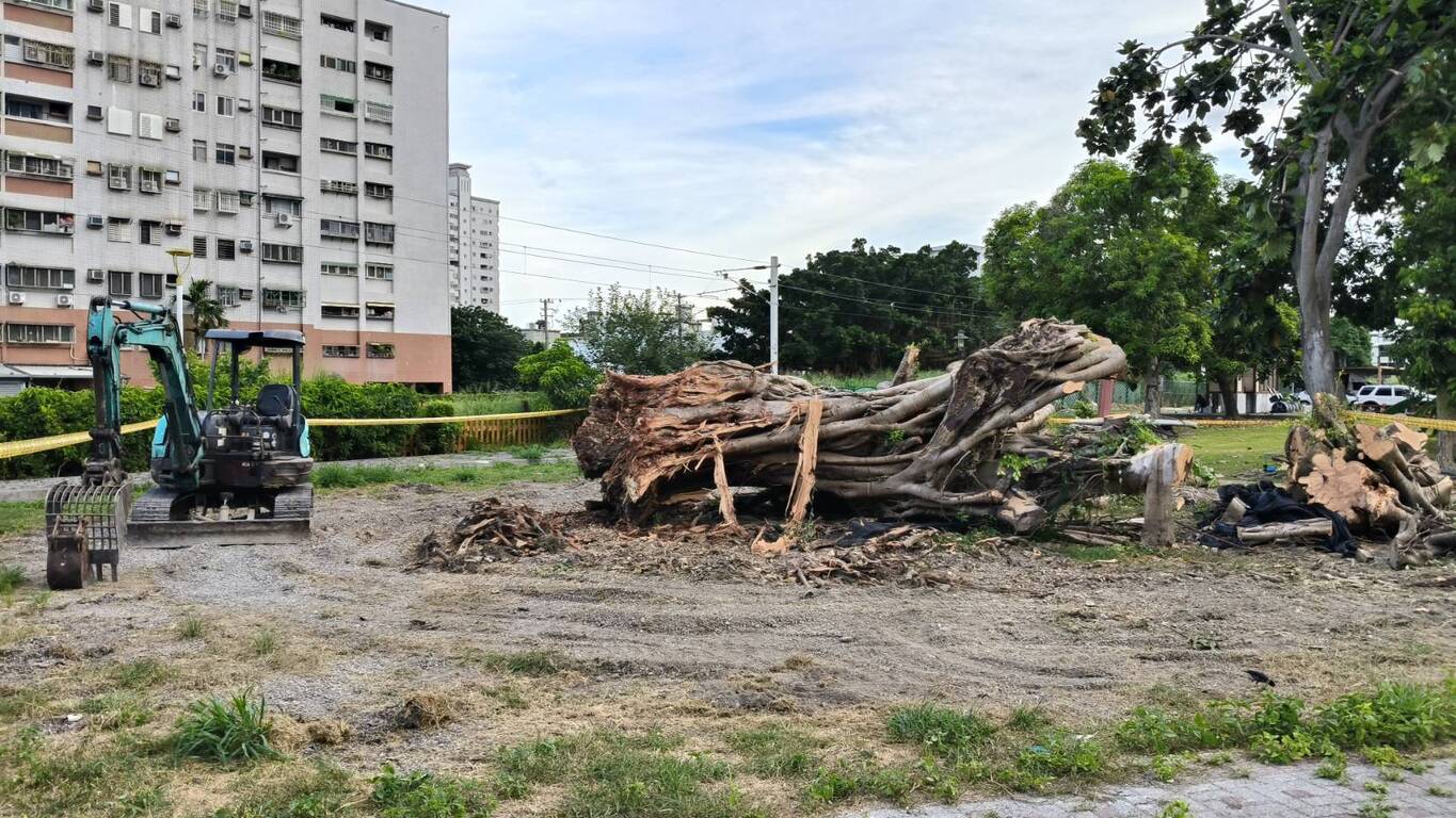 Unsalvable tree