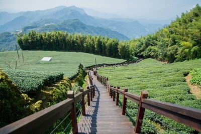 Hiking in Chiayi