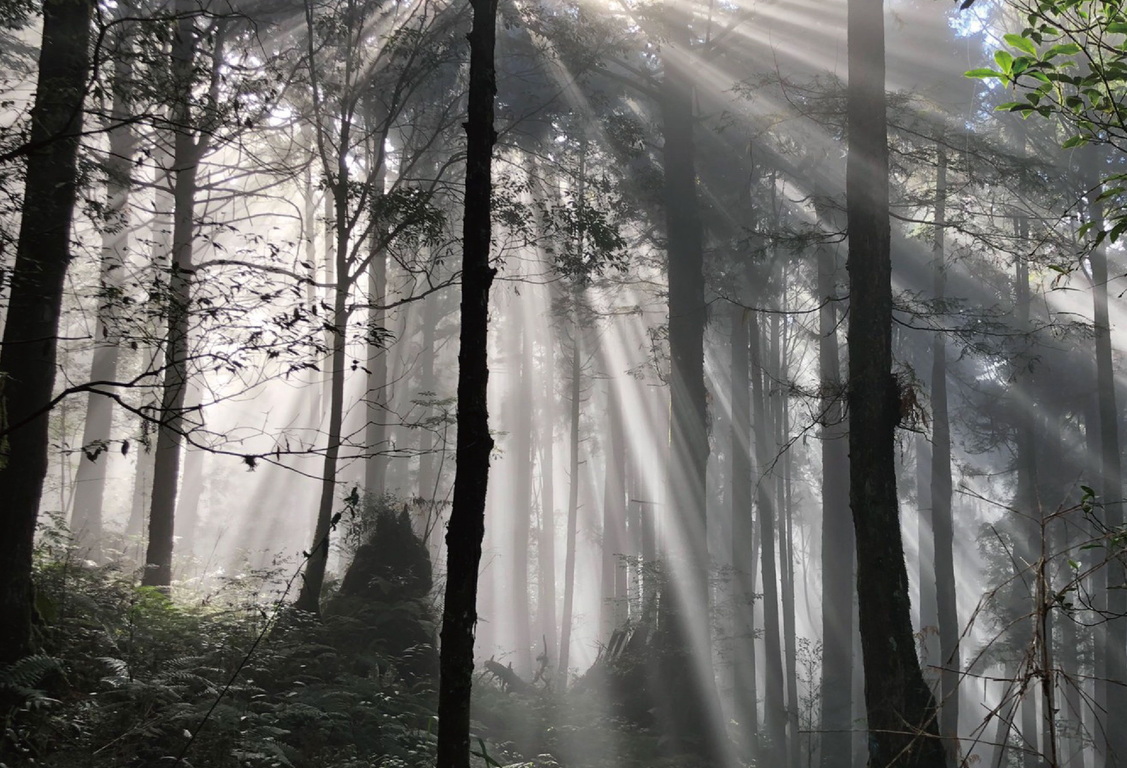 Tyndall effect