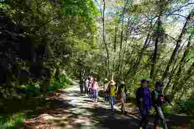 A walk in the park