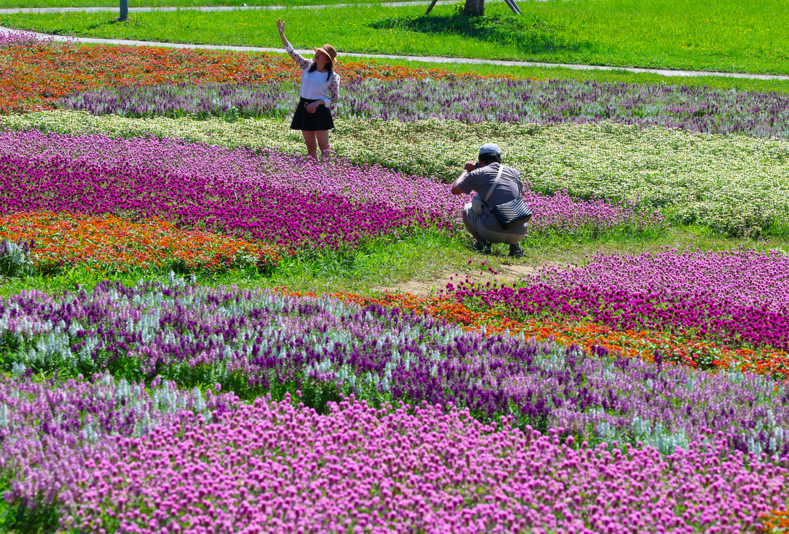 Floral sea