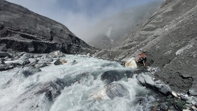 Probing the wild