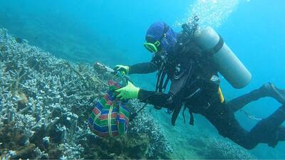 Invasive starfish