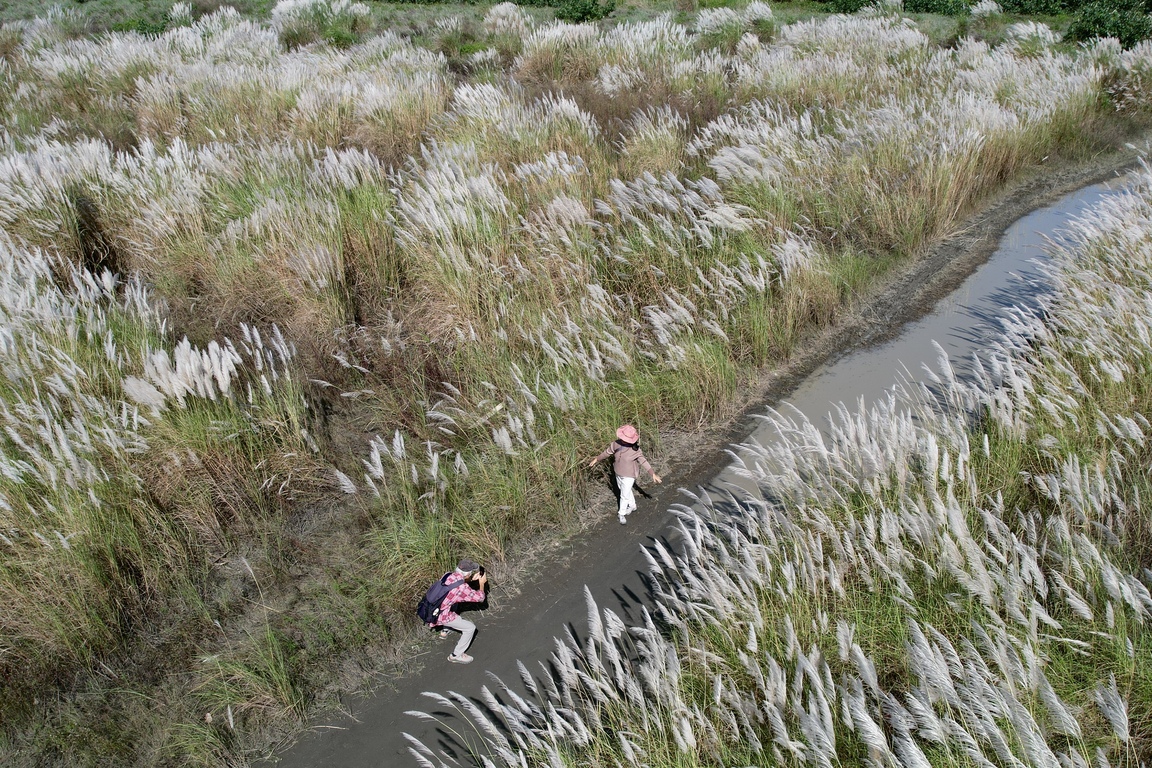 Awash in autumn vibes