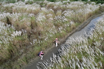 Awash in autumn vibes