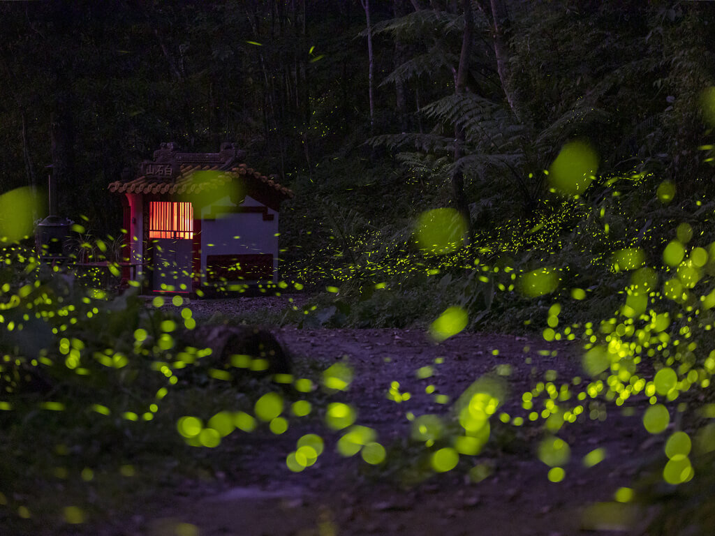 Firefly season
