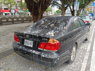 Bad luck or good luck?