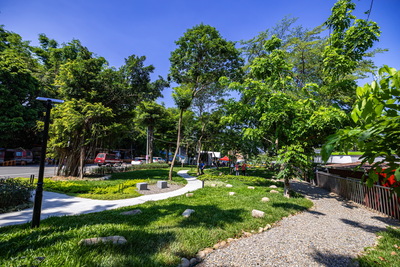 New park, new life