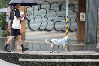 Rain-proof