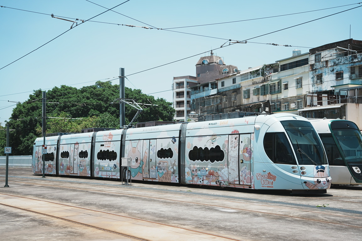 Feline express
