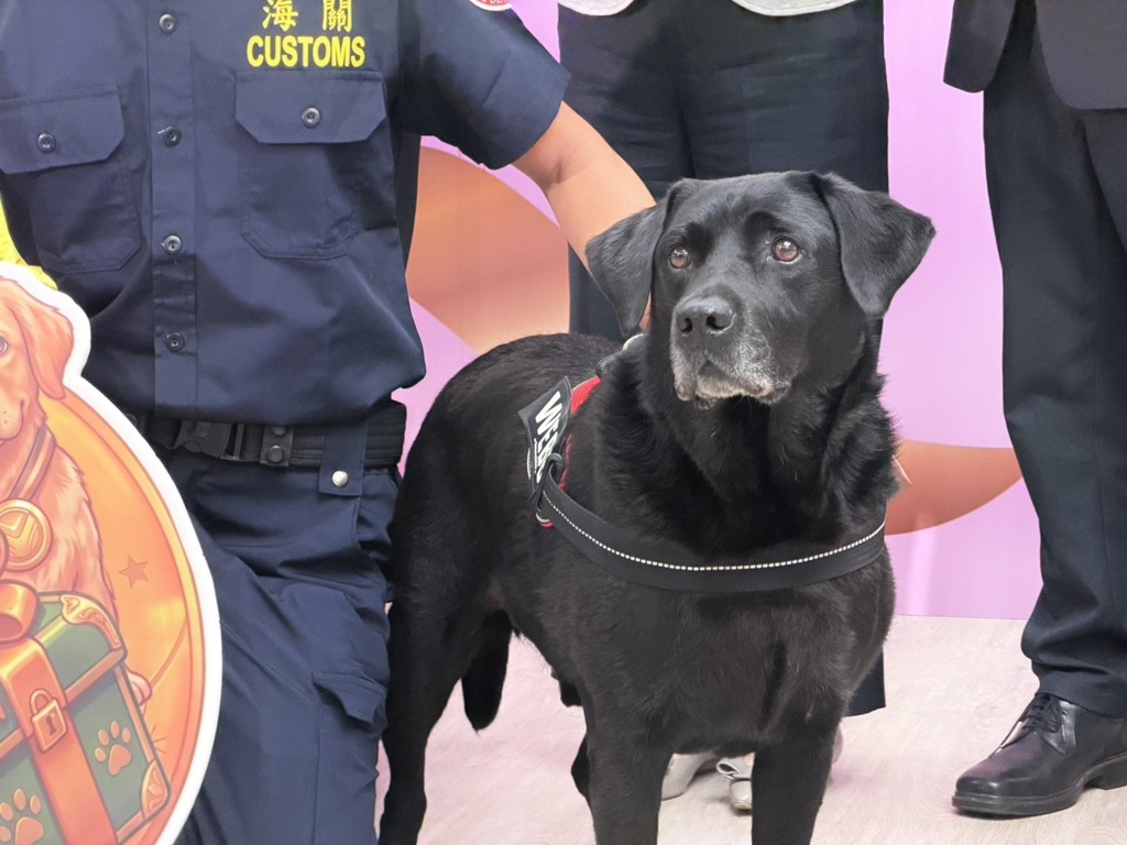 Distinguished officer