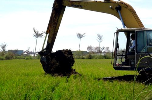 Polluted Rice Field Rice grown on polluted fields has not entered market: agency - Focus Taiwan