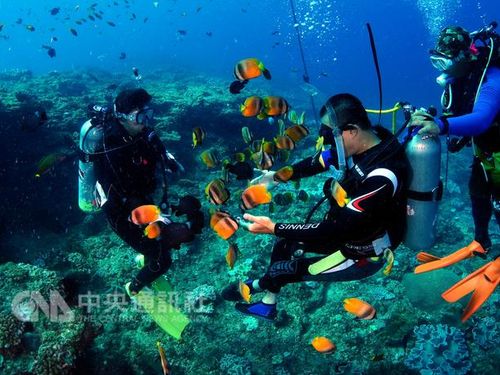 spearfishing
