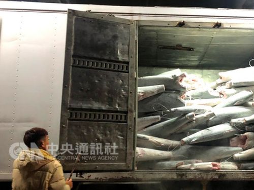 Photo courtesy of the Fisheries Agency