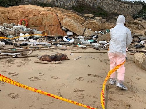 Photo courtesy of Kinmen Coast Guard