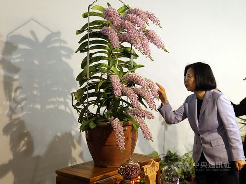 President Tsai Ing-wen (蔡英文)