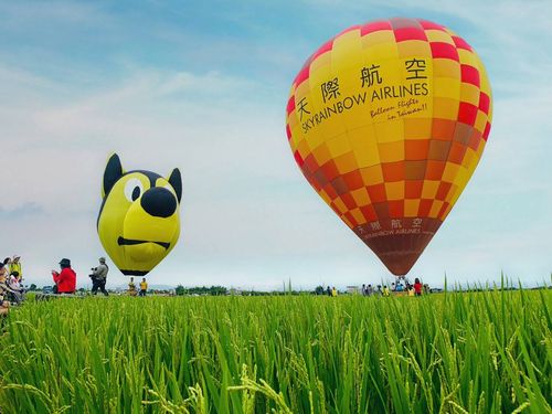 hot air balloon show