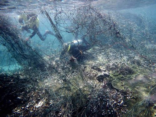 Photo courtesy of Marine
National Park Headquarters