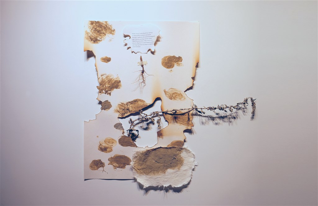 Ecological Fables: 26°48’44.0N 100°08’15.3”E, 2018, dirt, fire, plant, print on paper / Photo courtesy of Sheryl Cheung