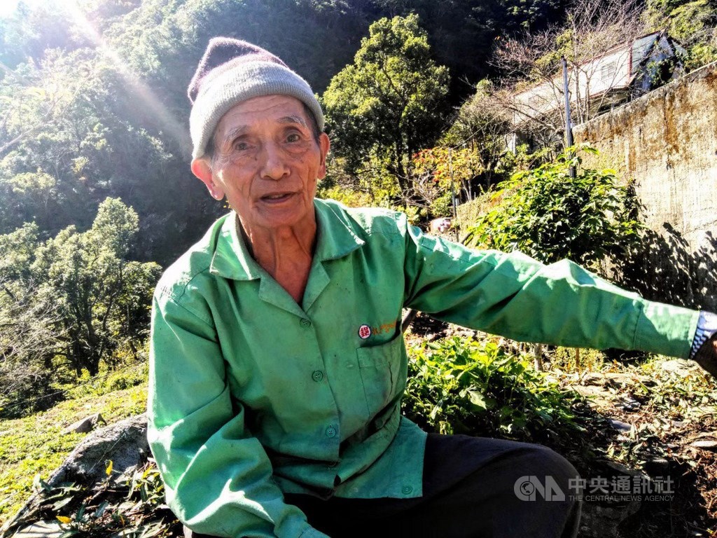 Photo courtesy of the Community Forestry Laboratory of National Pingtung University of Science & Technology