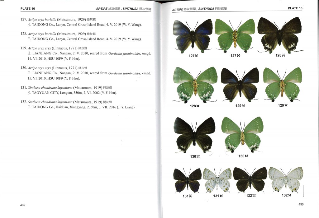 Photo courtesy of the Forestry Bureau
