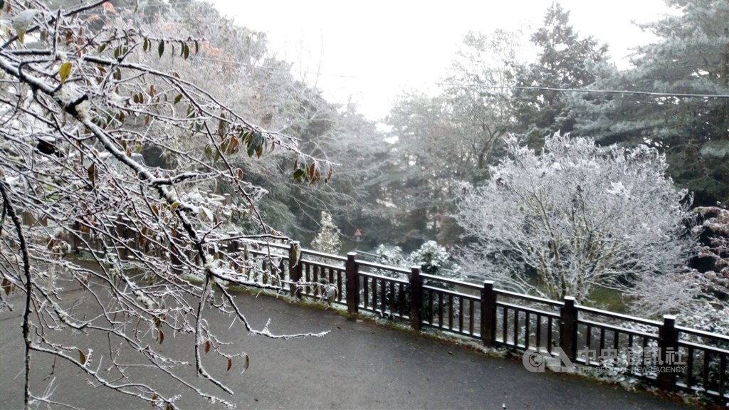 Sleet is seen blanketing the surrounding trees in Xiangyang District, Taitung County / Photo courtesy of the Guanshan police precinct.