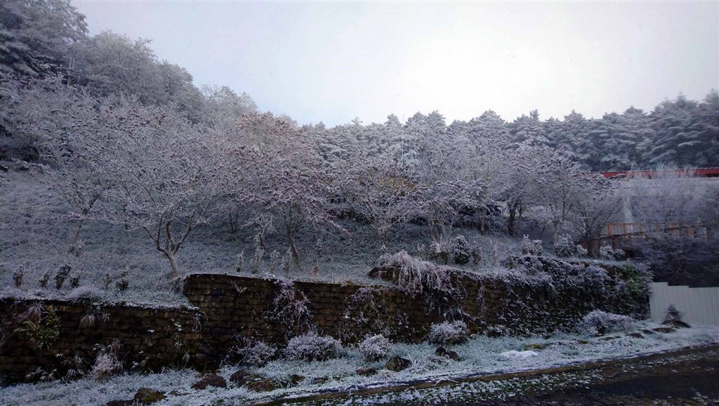 Forest on a section of the southern cross-island highway in Taitung is white with sleet / Photo courtesy of the Taitung Forest District Office