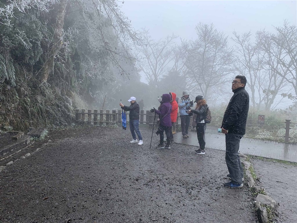 Visitors snap pictures of trees covered with rime ice at Taipingshan, 1,900 meters above sea level / Photo courtesy of the Luodong Forest District Office