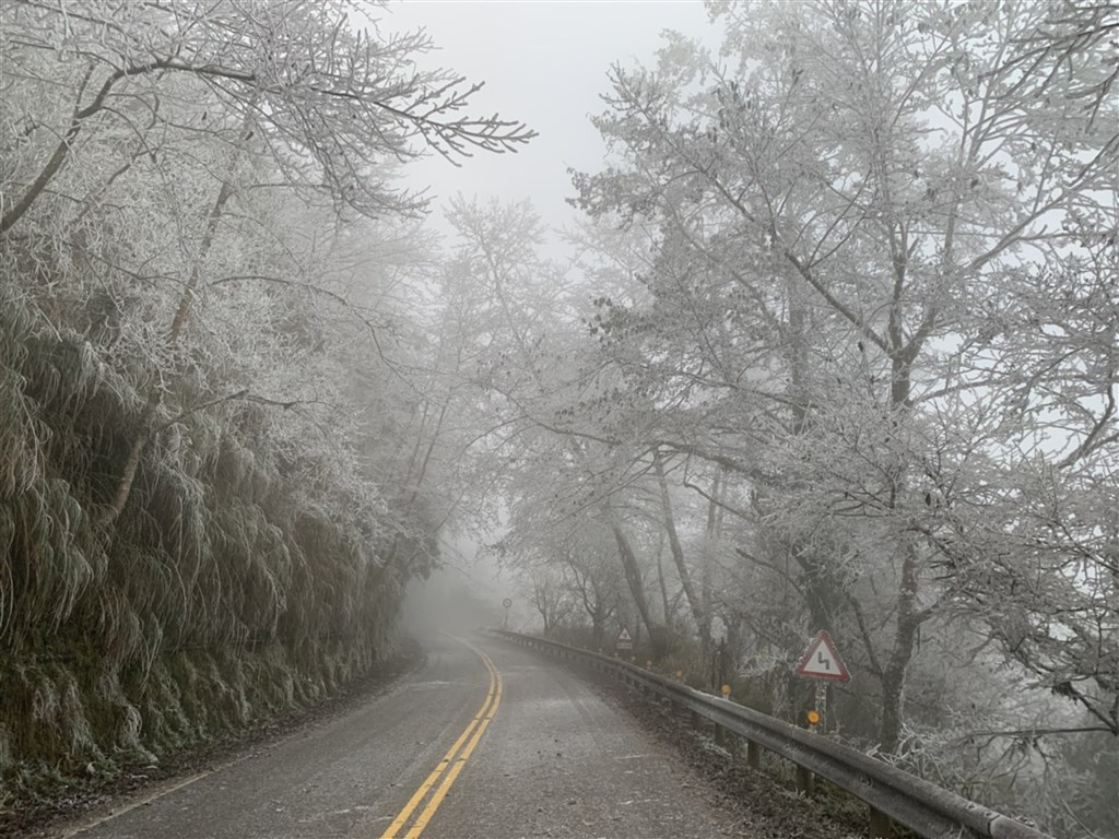 Another spot where rime ice can be observed lies within the Taipingshan National Forest Recreation Area in Yilan County, where the surrounding forest, cut through by a mountain road, is covered with the icy water droplets / Photo courtesy of the Luodong Forest District Office