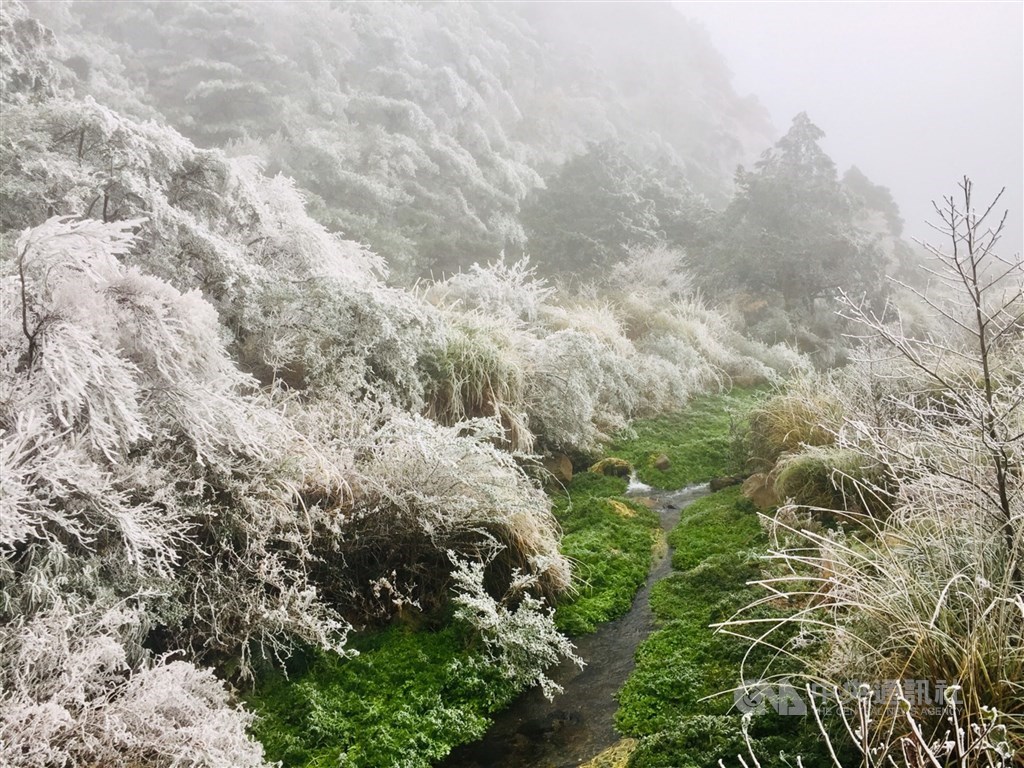 A view of a hiking trail in Heping District is transformed by rime ice into a white winter wonderland / Photo courtesy of a private contributor