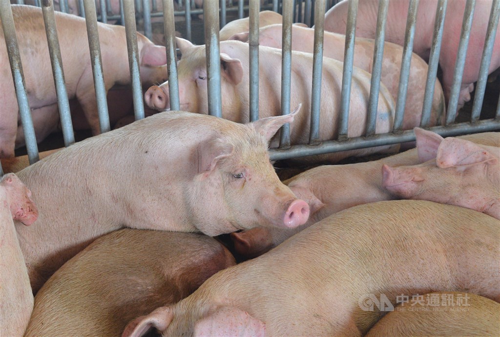 Taiwan Food Companies Reject Ractopamine Report From HK Focus Taiwan