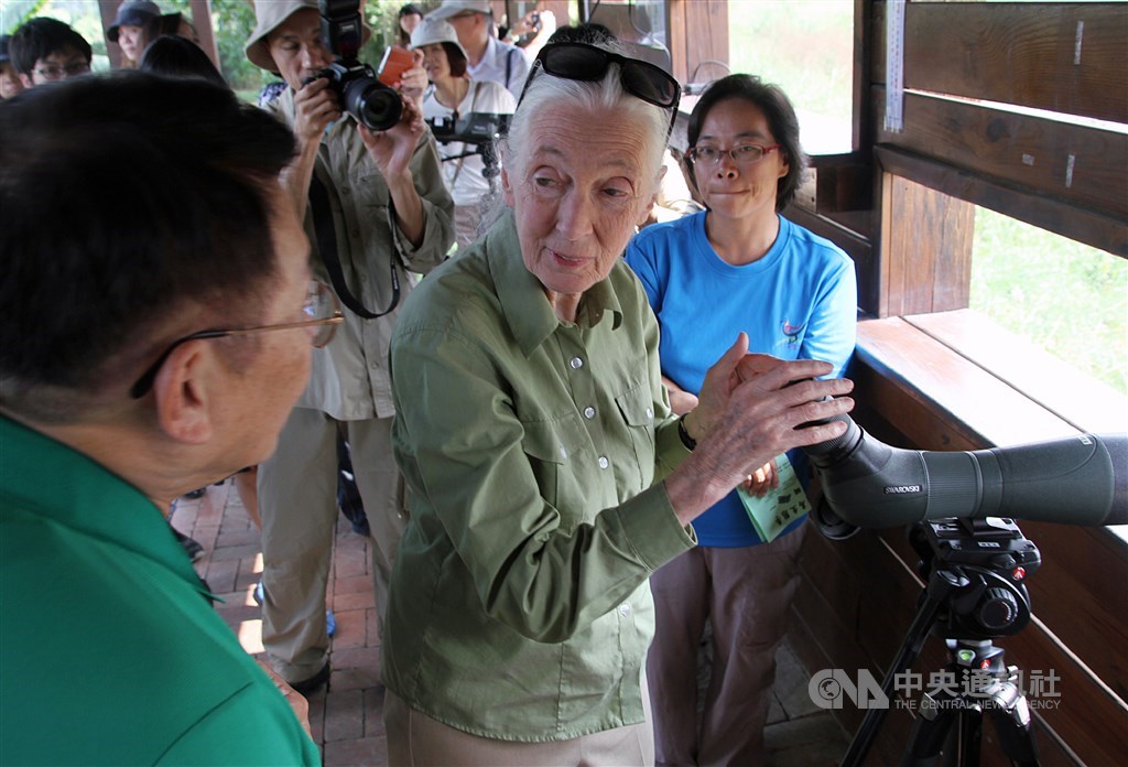 Jane Goodall (center). CNA file photo