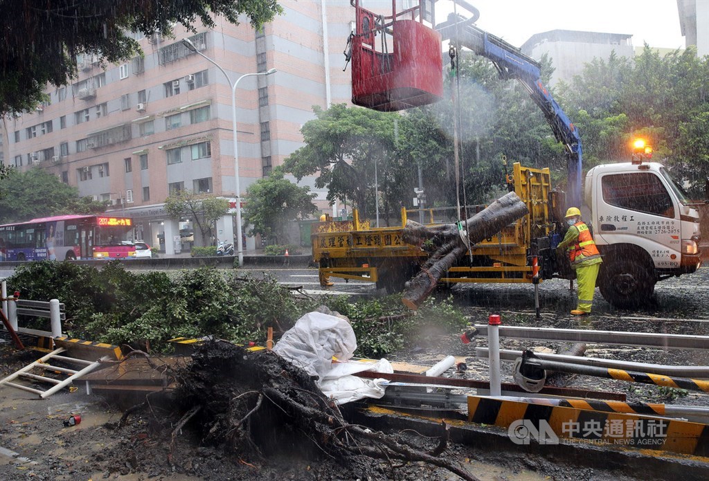 Taipei City government workers remove an uprooted tree on Keelung Road Sunday. CNA photo Sept. 12, 2021